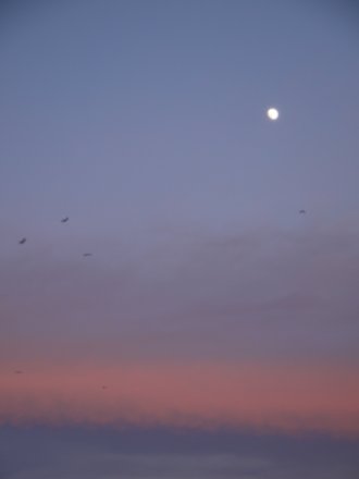 e0227942_21573030.jpg