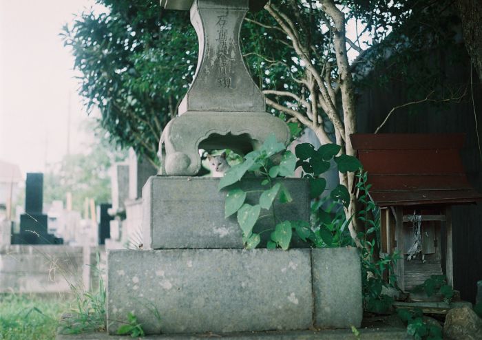 b0170947_2182328.jpg