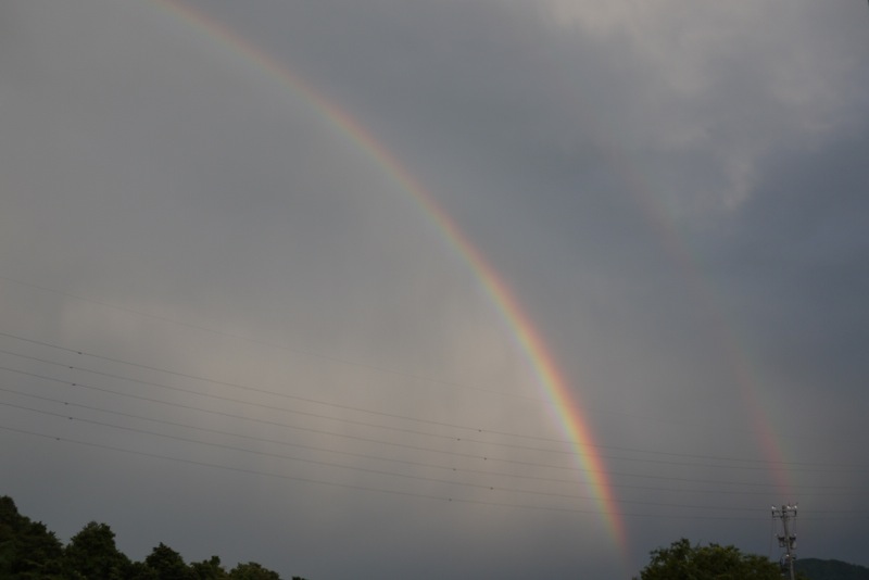 a0152448_0415325.jpg