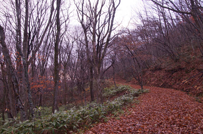f0214649_53135100.jpg