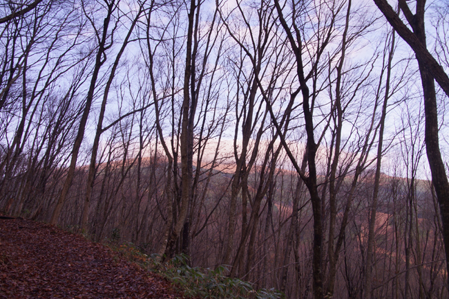 f0214649_5332970.jpg