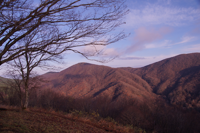 f0214649_5425719.jpg