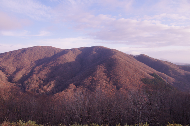 f0214649_5433977.jpg