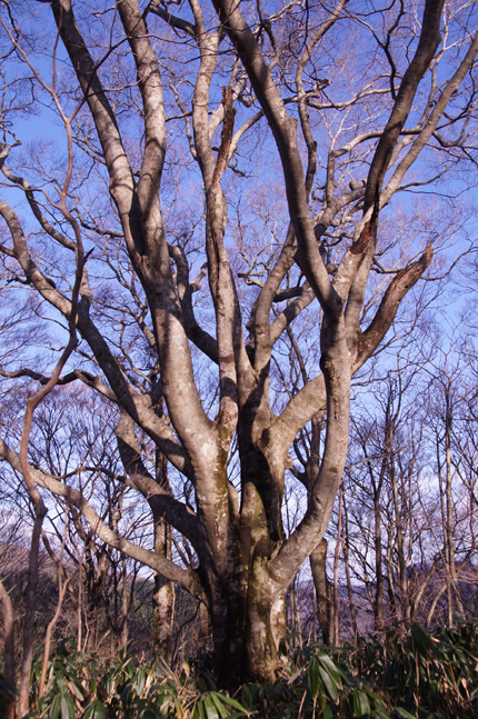 f0214649_547235.jpg