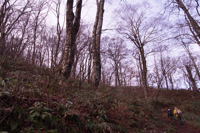 f0214649_5523550.jpg