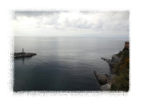 d0118050_1502372.jpg