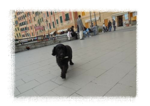 d0118050_1571424.jpg