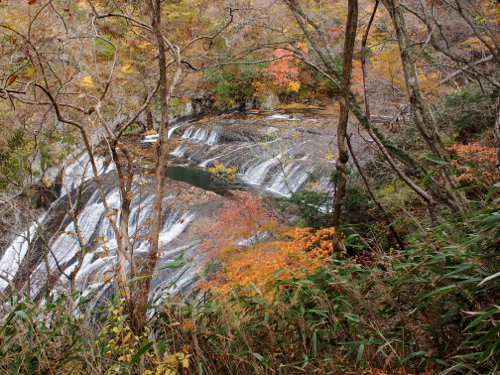 f0035251_8534165.jpg
