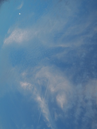 b0173754_32382.jpg
