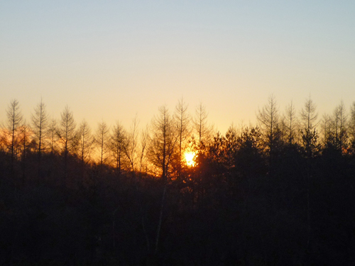 b0045357_1318539.jpg