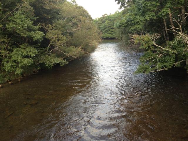 c0105957_016087.jpg
