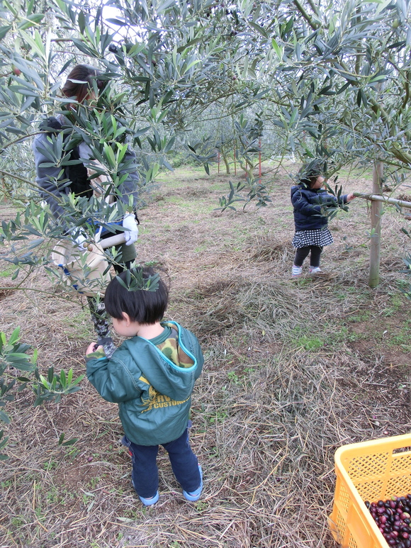 f0201157_22545575.jpg