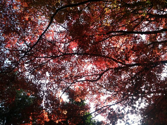 f0201157_22552663.jpg