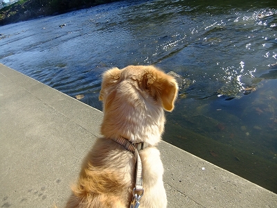 c0097558_23461432.jpg