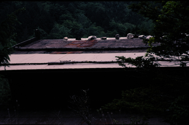 a0169060_2471416.jpg