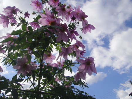 c0108460_22215916.jpg
