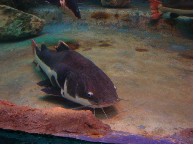 f0232060_034223.jpg