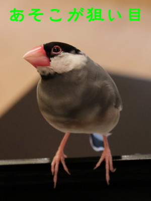 b0158061_2242658.jpg