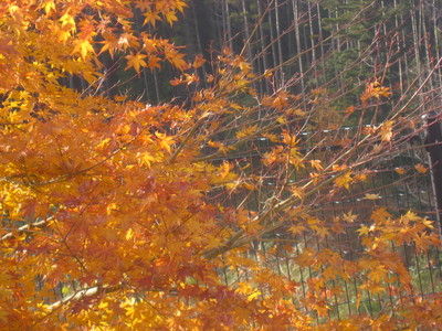 b0267163_18153284.jpg