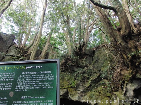 c0127366_7573646.jpg