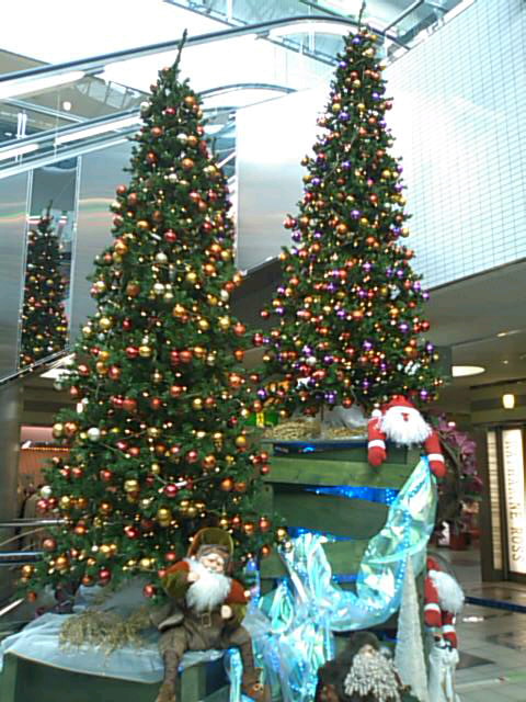 f0061067_2293876.jpg