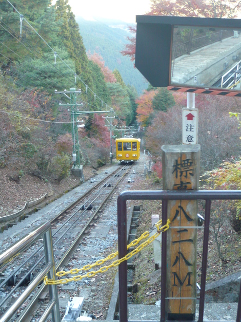 d0108969_19565818.jpg