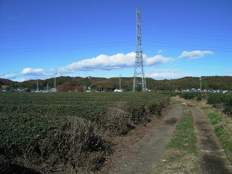 d0225575_15291679.jpg