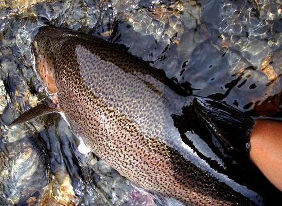 a0169776_21323410.jpg