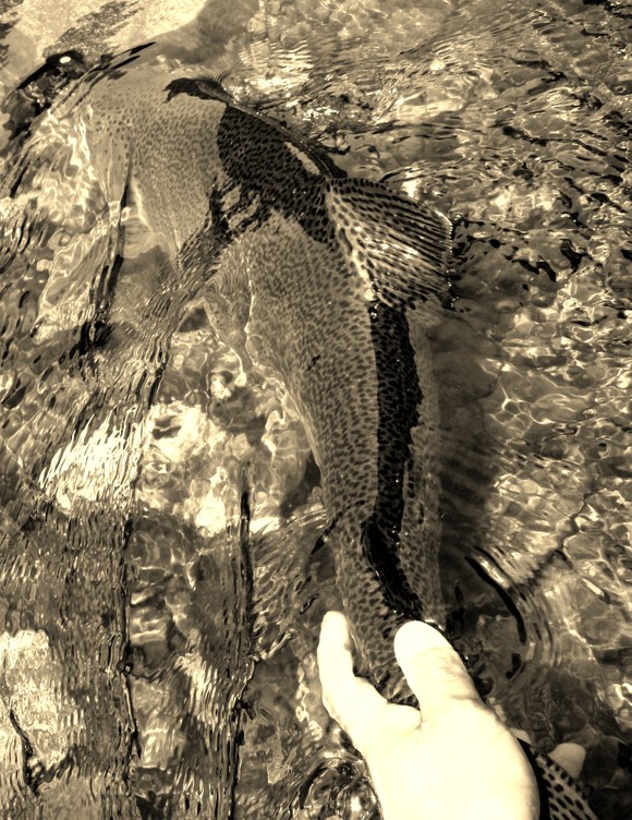 a0169776_21515467.jpg