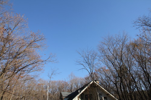 e0114977_10585440.jpg