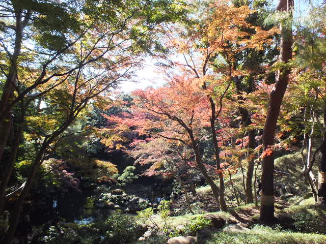 e0145782_17394868.jpg