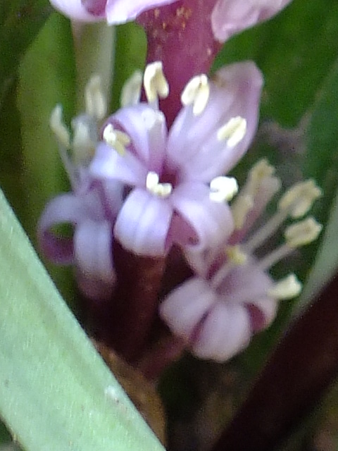e0145782_17465722.jpg
