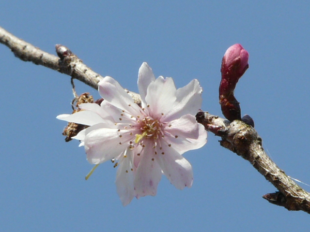 e0145782_1751667.jpg