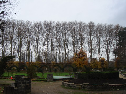 a0247585_60722.jpg