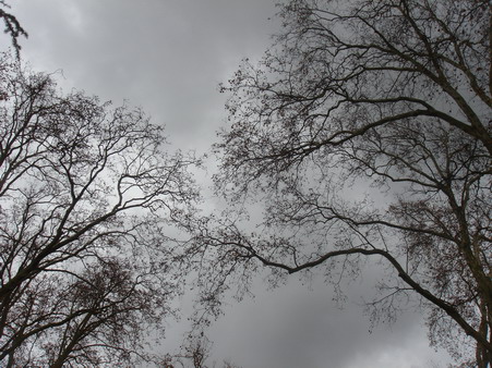 a0247585_625527.jpg
