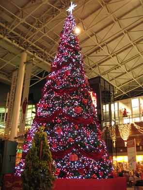e0130185_2254532.jpg