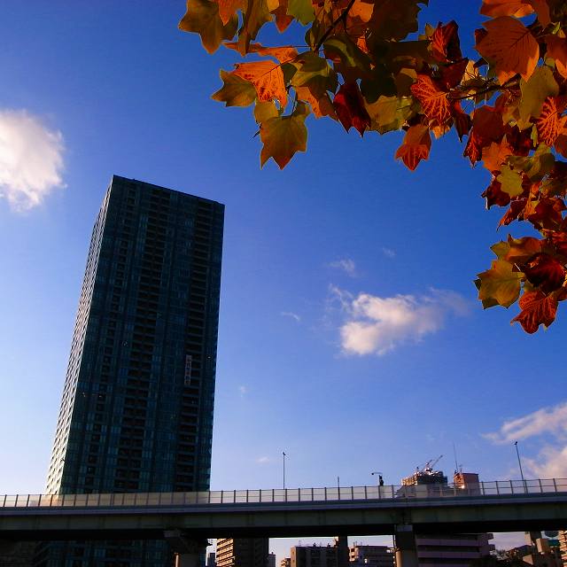 c0160387_21423871.jpg