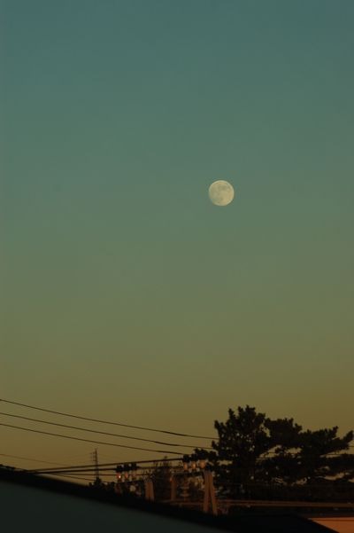 b0162388_1912950.jpg