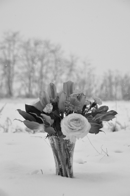 c0246290_20514730.jpg
