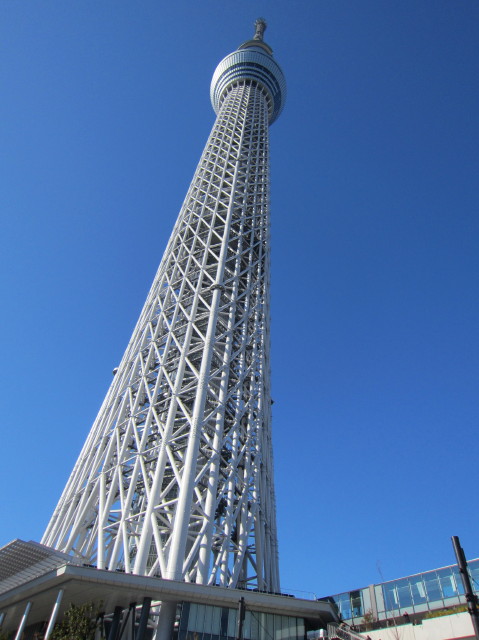 d0098295_21522122.jpg