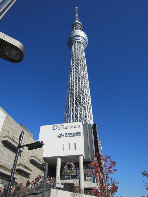 d0098295_21534474.jpg