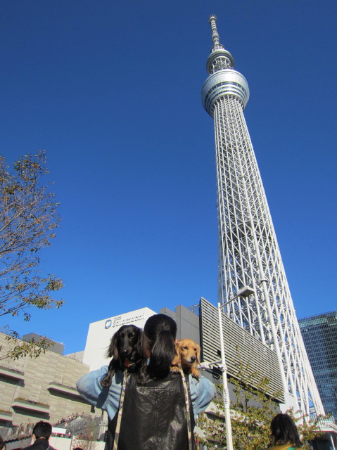 d0098295_21535425.jpg
