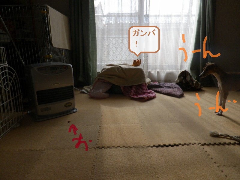 a0284997_9504371.jpg
