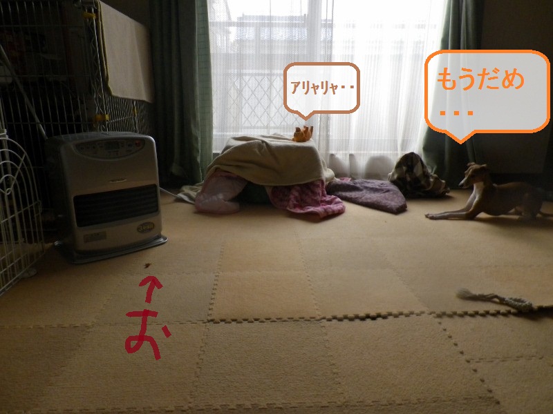 a0284997_9521430.jpg
