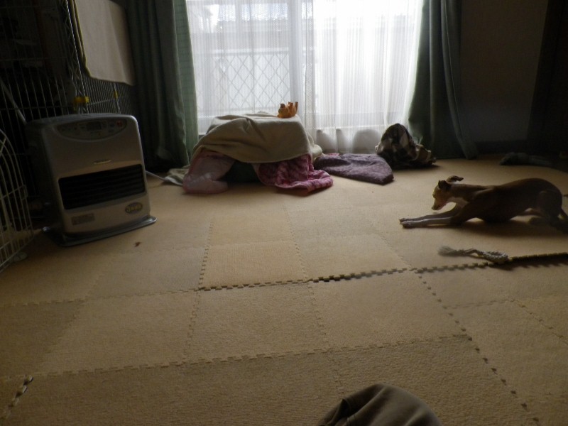 a0284997_955999.jpg