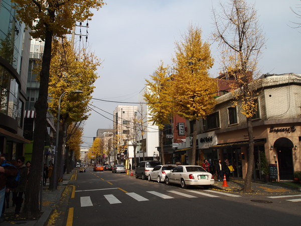 c0199098_346275.jpg