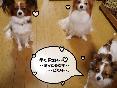 b0243804_1940288.png