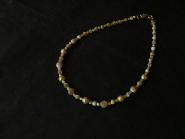 d0124206_1456858.jpg