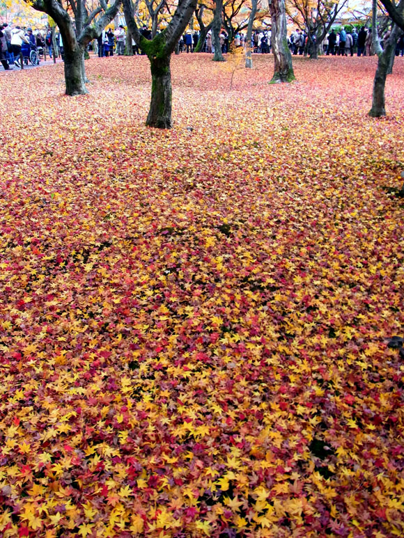 e0083517_9214230.jpg