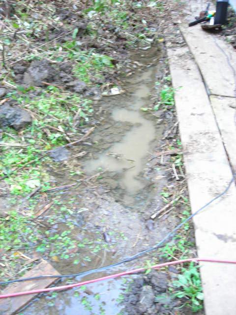 b0096418_16155493.jpg